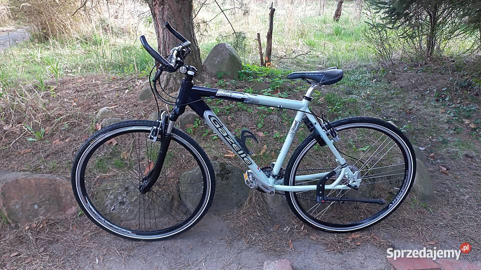 Alu Rower Miejski Męski Gazelle Puerto 3x8 Wołów