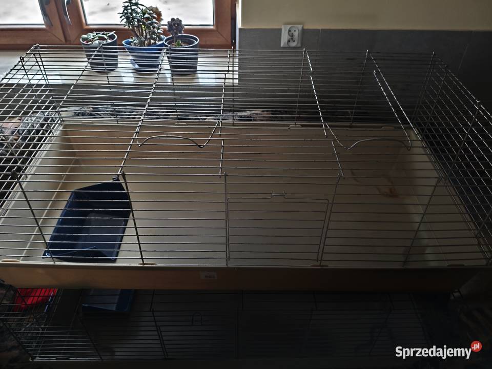 2x Klatka 120 królika świnki morskiej MPS Baldo Mirzec sprzedam