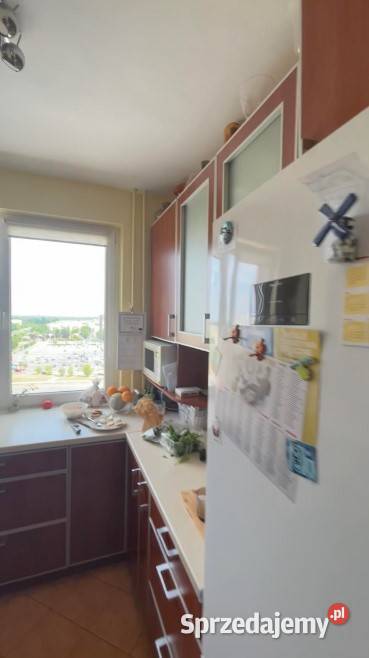 3pok 64met Piekary A BALKONPIWNICAWINDA Legnica Sprzedaż