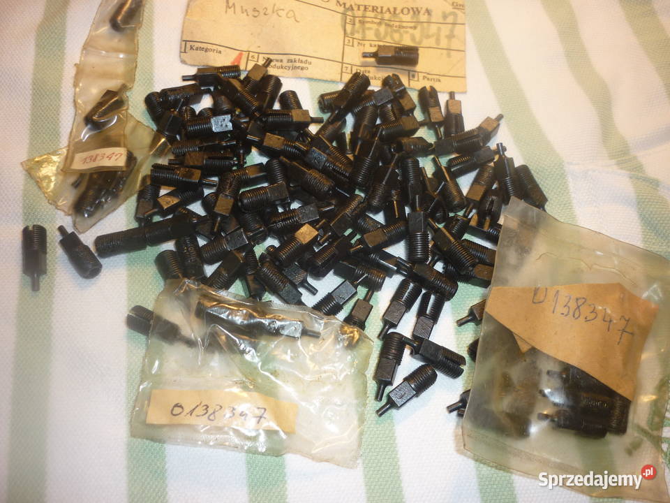 Muszka 0138347 podkarpackie