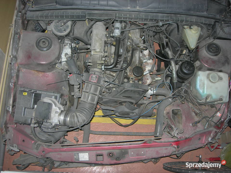 maska lubelskie Lublin