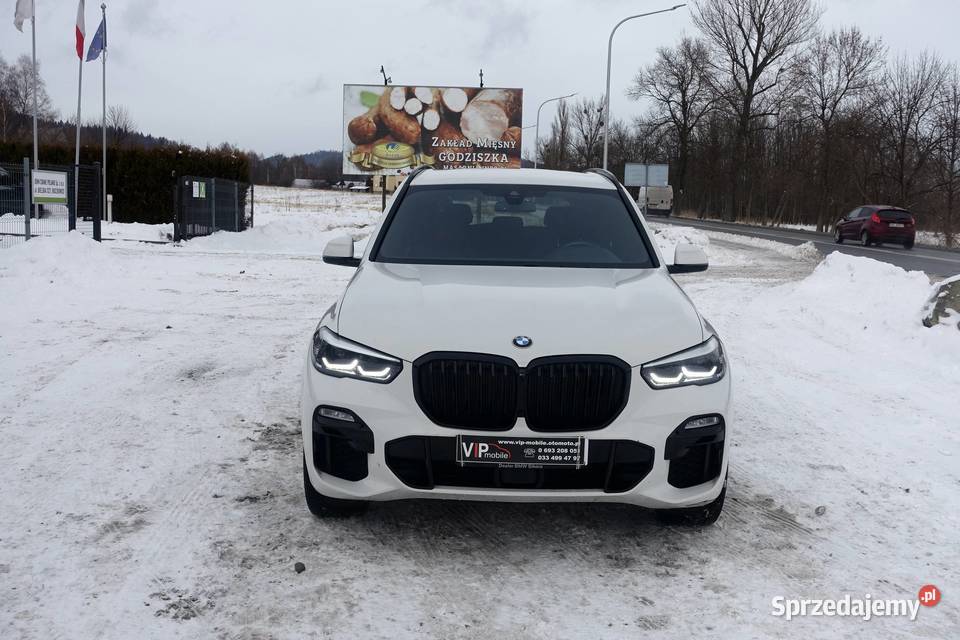 BMW X5 25d 231 xDrive MPakiet Salon 1 właściciel garażowany X5 Buczkowice