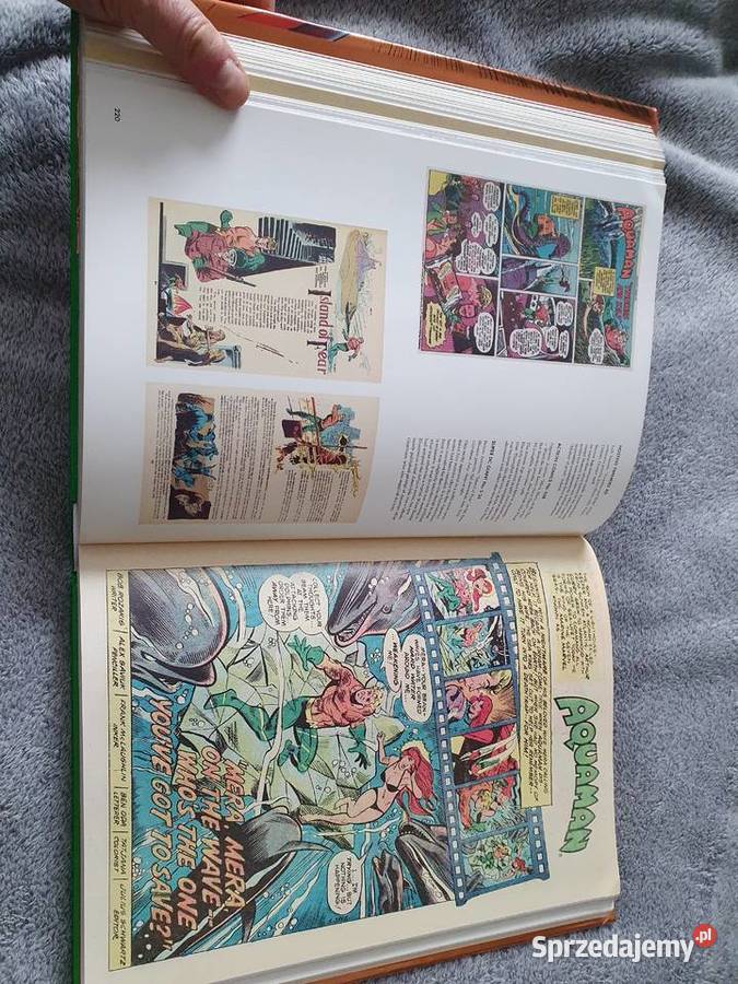 The Bronze Age of DC Comics 19701984 by Paul Gdynia