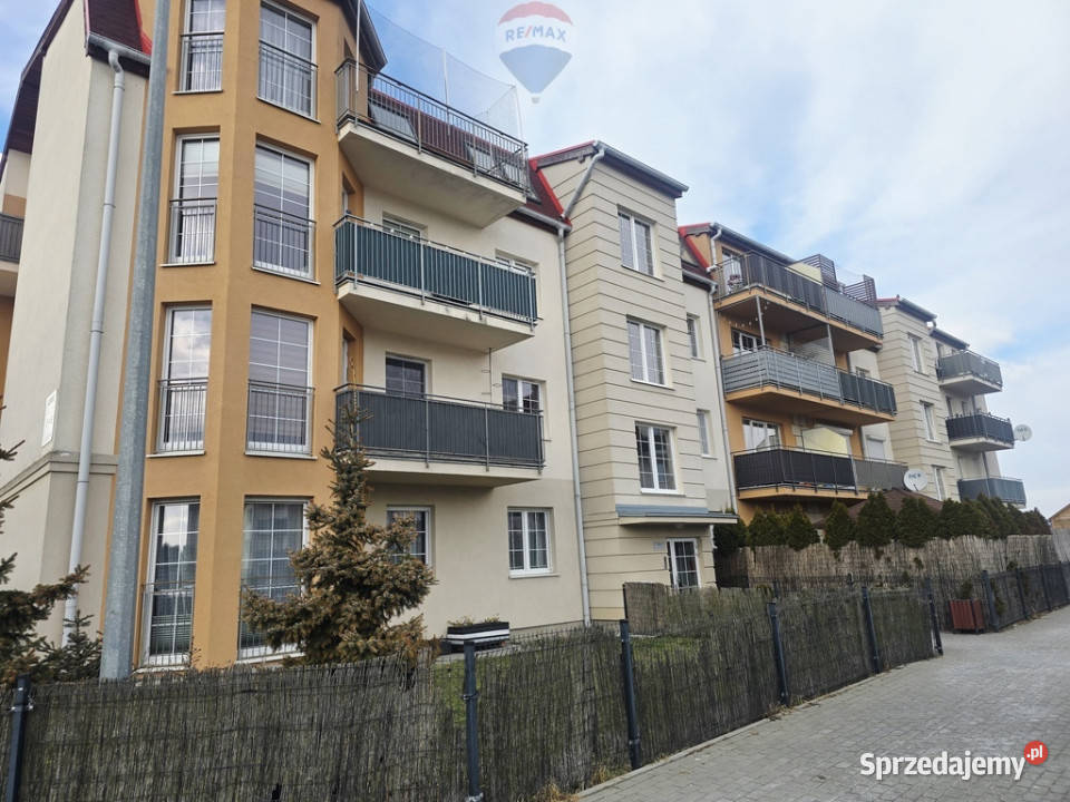 Na wynajem mieszkanie z ogródkiem Zalasewo Wynajem