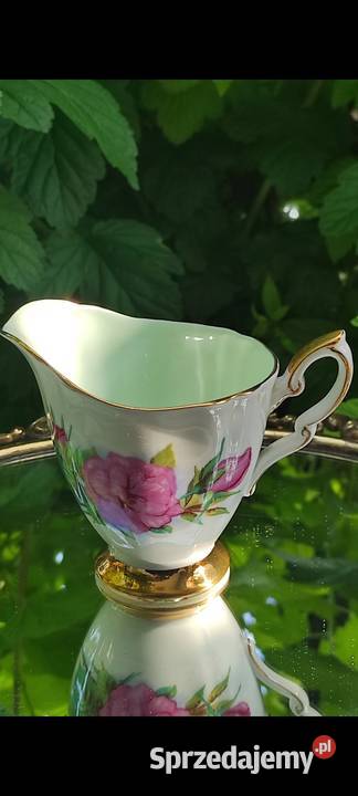 Piękne rzadkie zabytkowe róże Royal Standard Pabianice sprzedam