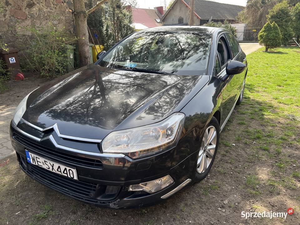 Citron C5 polski salon Ełk
