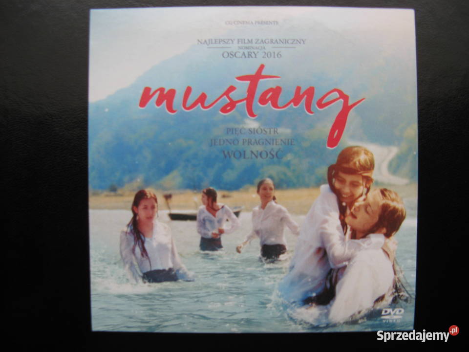 DVD Mustang wielkopolskie Poznań sprzedam