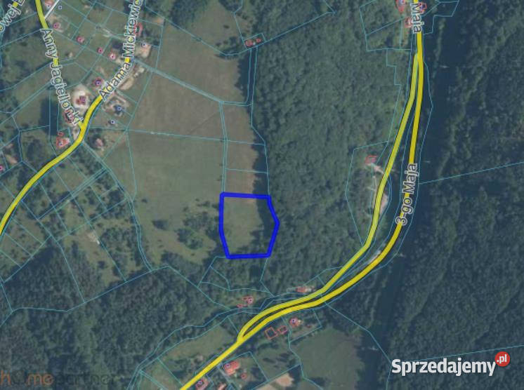 sprzedaży działki 9600m2 Walim Adama Nieruchomości sprzedam
