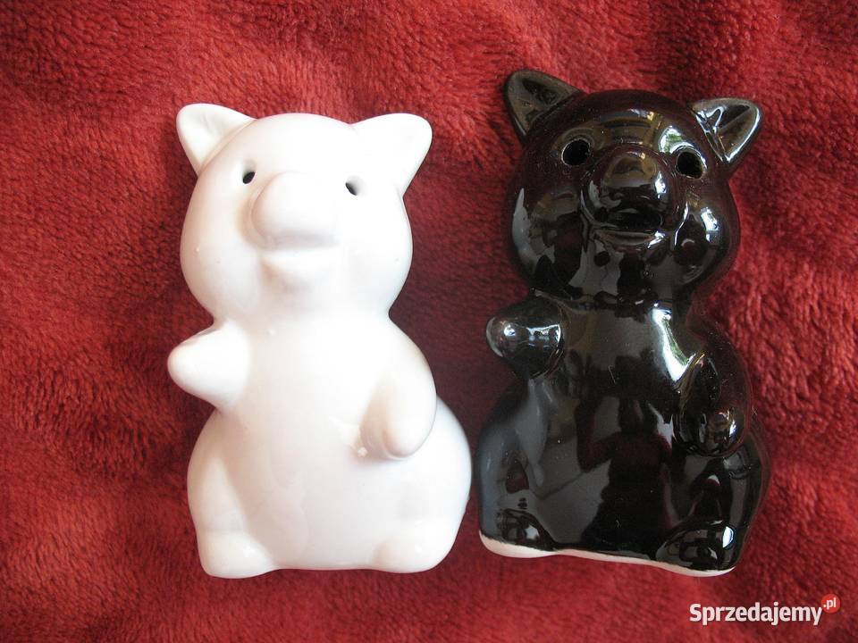 Pieprz i sól Świnki Pieprzniczka Solniczka mazowieckie Siedlce