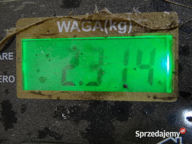 Śruby ESKA 2 MIX 6 do 10 mm org DDR Żary