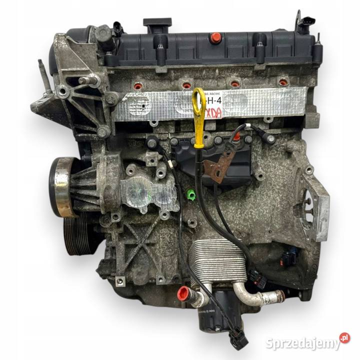 SILNIK HXDB Ford Focus II MK2 C C 16 16V Ti HXDA Motoryzacja Chełm