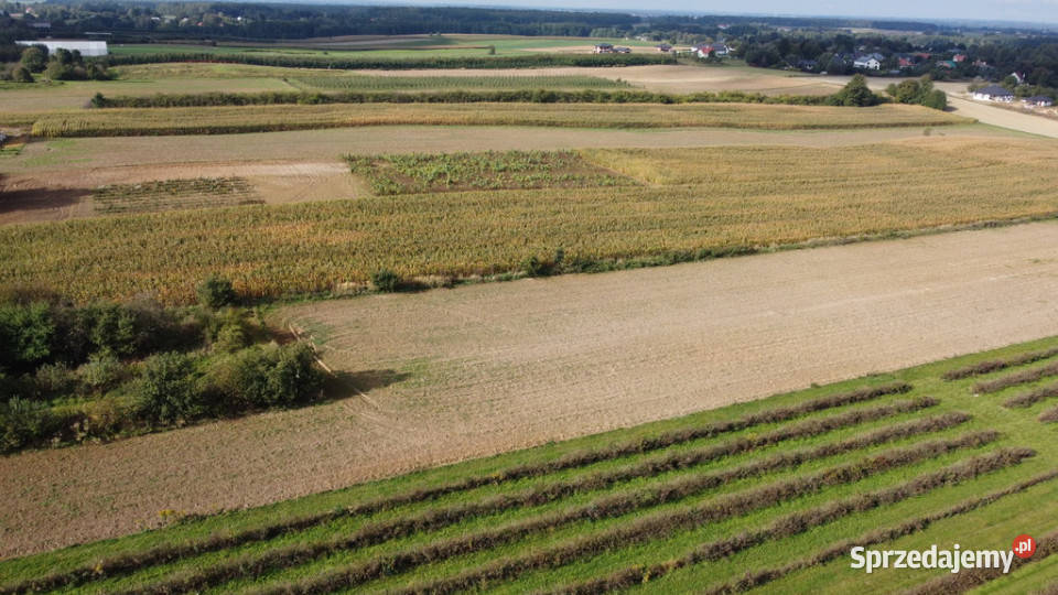 Działka Motycz 13 ar budownictwo jednorodzinne utwardzona