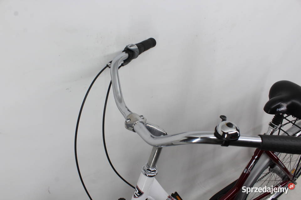 ALU rower miejski COMFORT 5 biegów w piaście