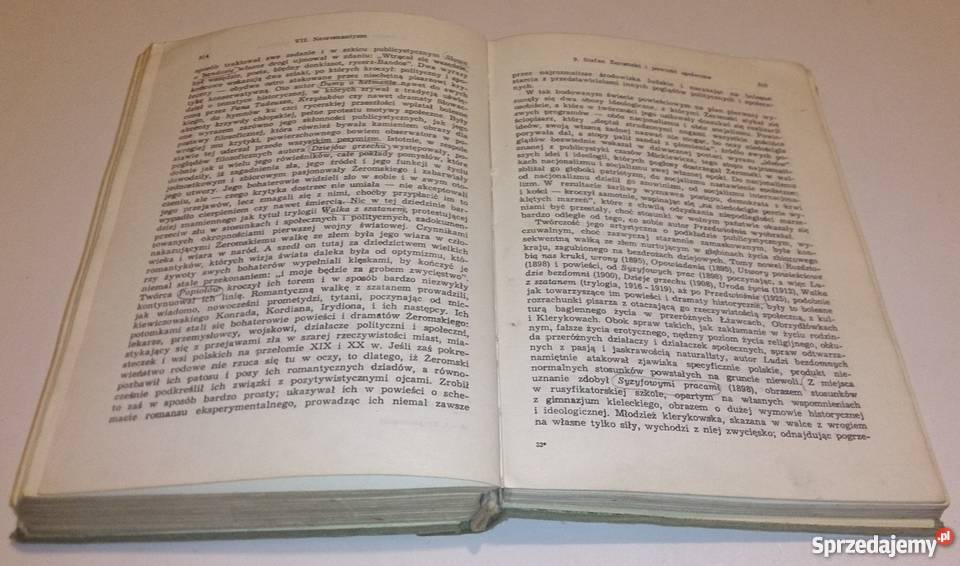 Julian Krzyżanowski Dzieje Literatury Polskiej Rogoźnik