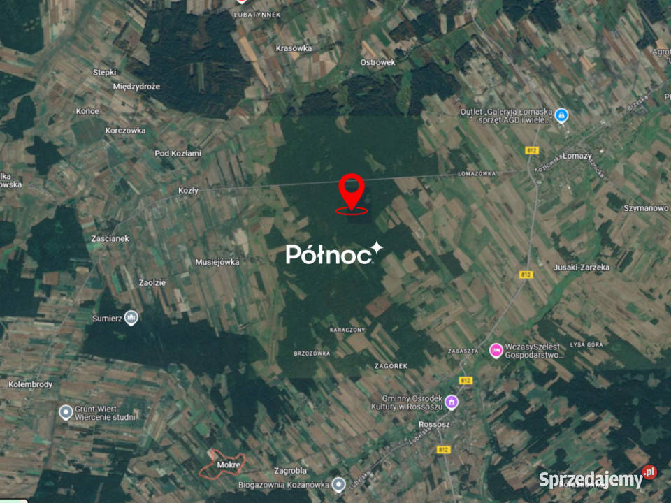 Działki leśne do sprzedaży Mokre gm Rossosz
