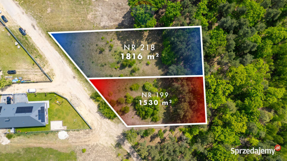 Duża piekna działka Puszczy Słupeckiej mazowieckie Sieraków