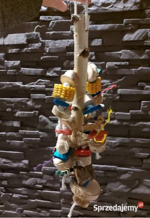 zabawkagryzak papug Pasłęk