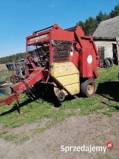 holand 841 kujawsko-pomorskie Czumsk Duży