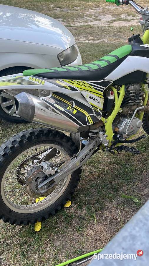 Alfarad 250 lubelskie Leśniowice