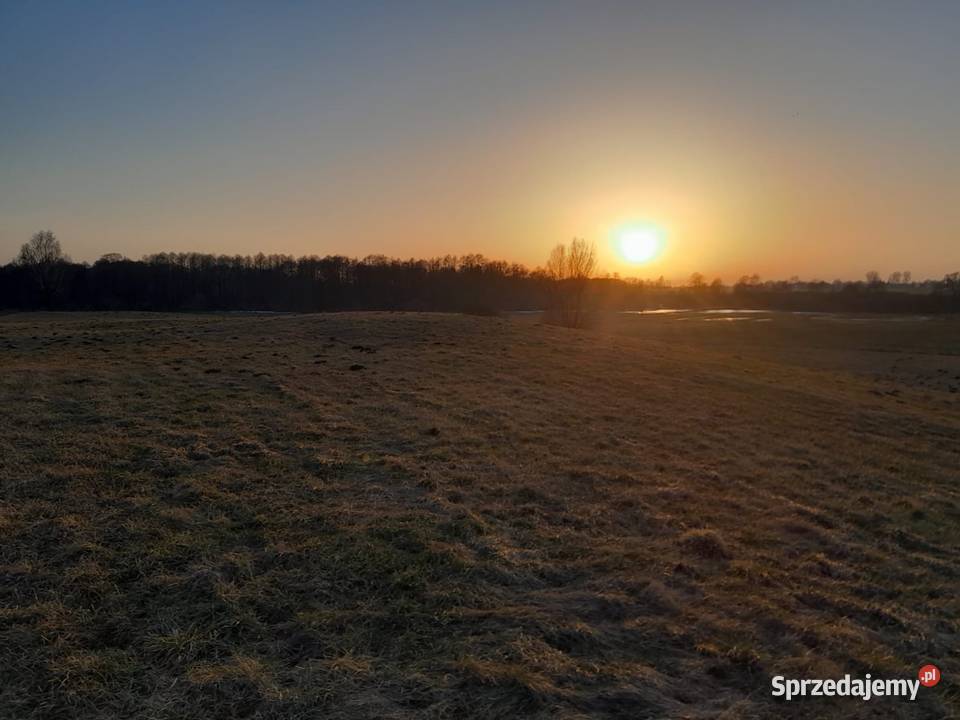 Działka w naturze Sprzedaż Janowo