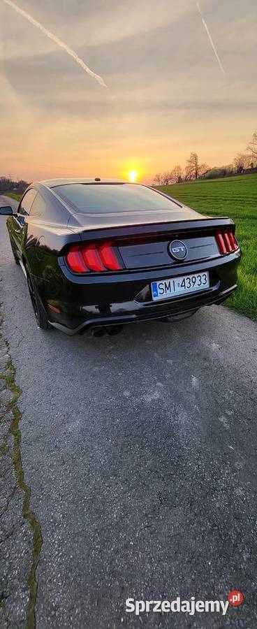 Ford Mustang 50 GT 450 koni Automat automatyczna Mikołów