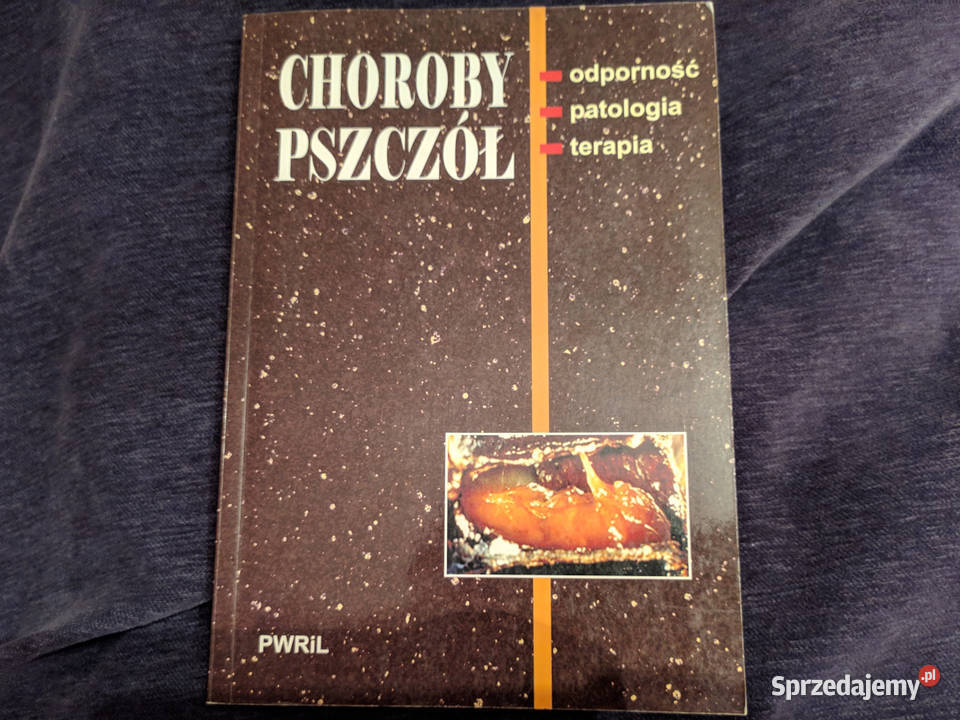 Choroby pszczół odporność patologia terapia Międzyrzec Podlaski