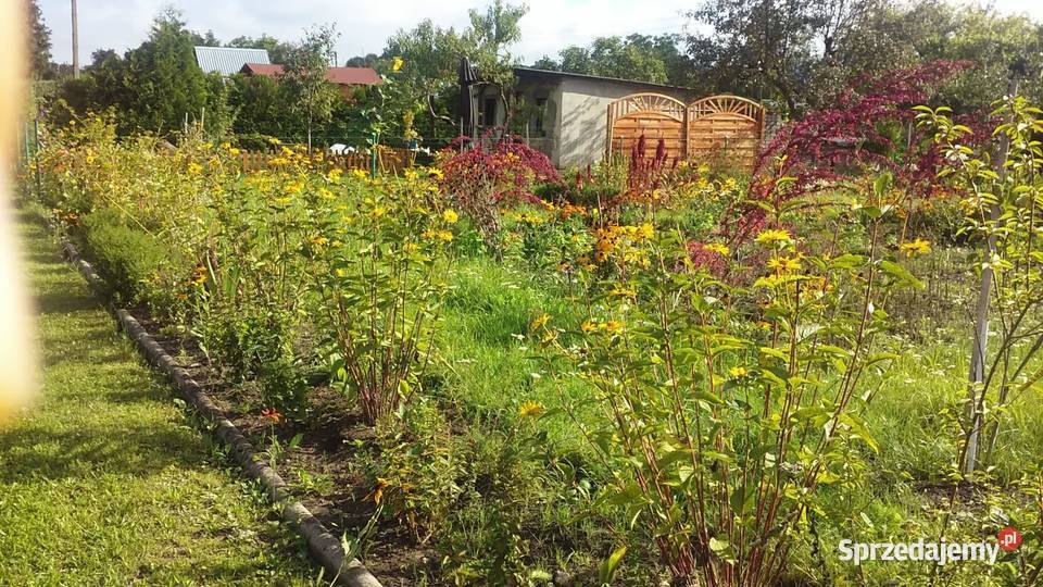 Ładny ogródek działkowy Pozostałe Strzelce Opolskie