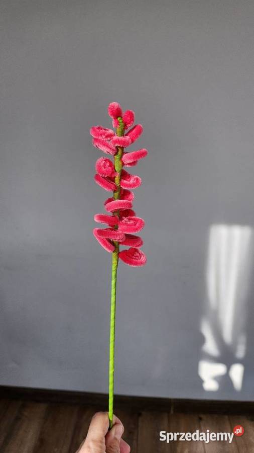 Tulipany z wyciorów 7 sztukę Kraków sprzedam