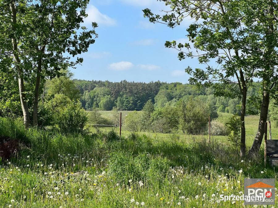 Mieszkanie 5901m2 3 pokoje Kaleń Sprzedaż
