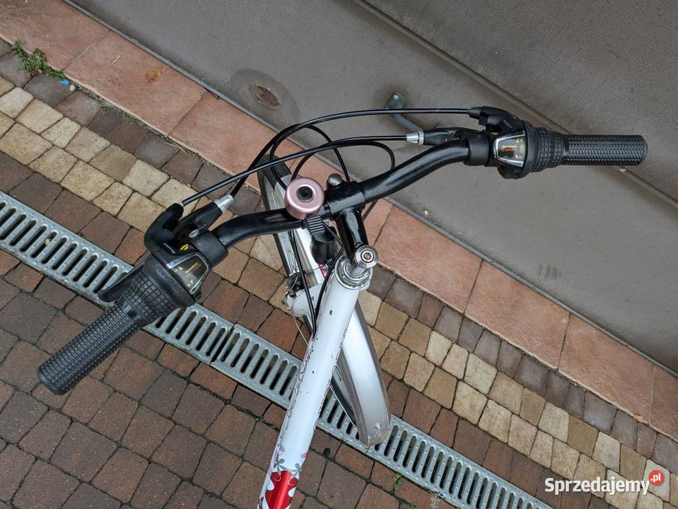 Rower Bingo Suzana dziecięcy junior dziewczynki Stalowa Wola