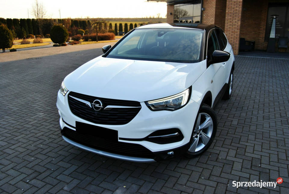 Opel Grandland X FUL Kamera NAVI LEDY OPŁACONY nawigacja Modliborzyce