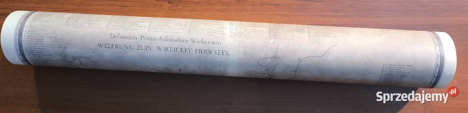 Wizerunek Żupy Wielickey Pierwszey reprint