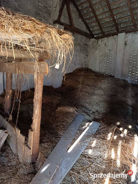 Oddam siano i słomę luzem Pozostałe Sokolniki sprzedam
