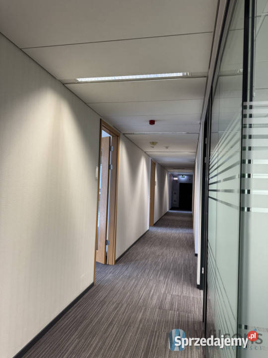 Lokal 395m2 Warszawa Domaniewska mazowieckie