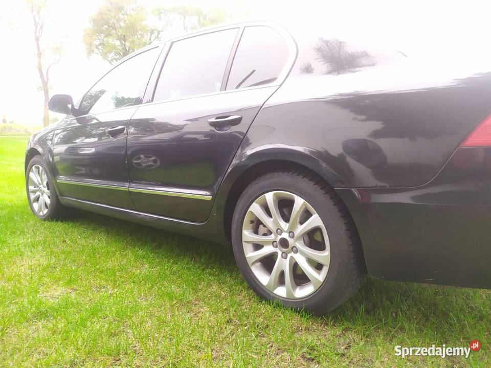 Superb II drzwi błotnik LF9R 9910 1z1z części Margonin
