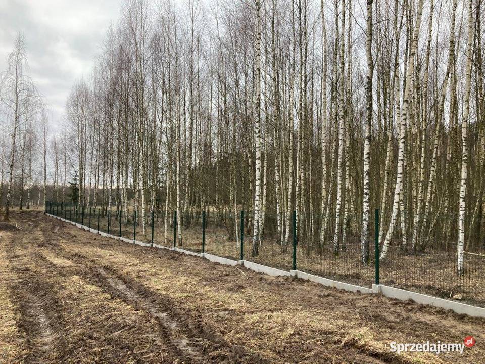 Dzialka Budowlana Osada Brzozowa Dolina 232zł/m2 warmińsko-mazurskie Ogonki