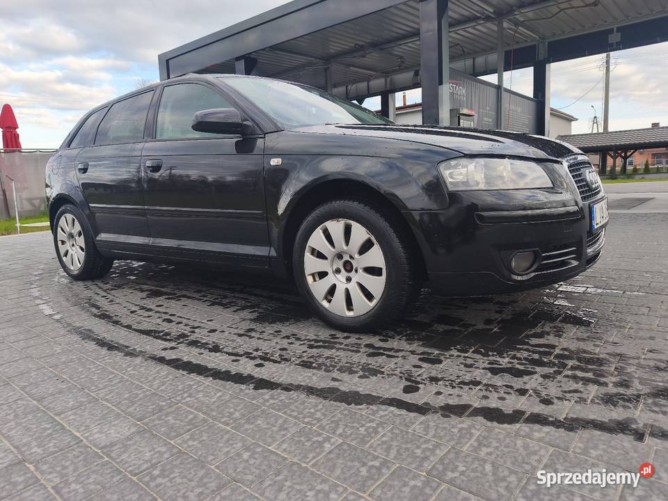 Audi A3 8P 20Tdi A3 Dobryń-Kolonia