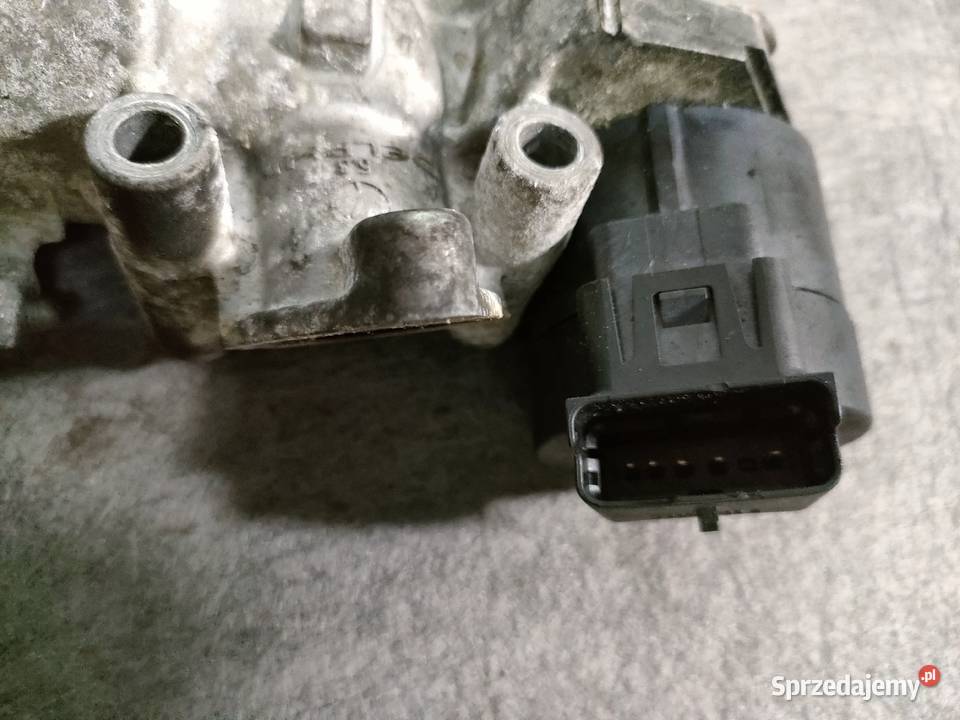 Citroen Peugeot Fiat chłodnica spalin zawór egr osobowe Swarzędz