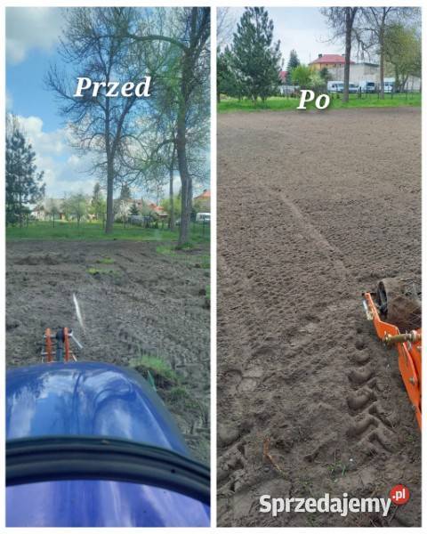 Zakładanie trawnika sianie trawy TROJANÓW