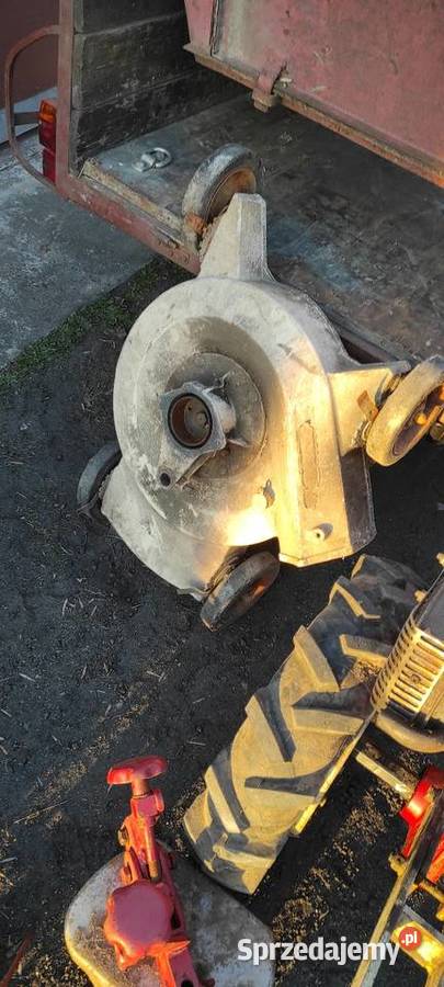 Terra vari jednoosiowy MF 70 gudbrod dzik Pozostałe