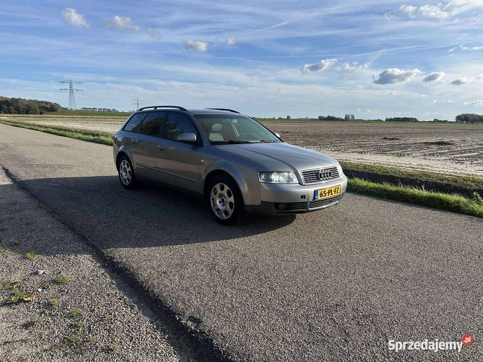 Audi A4 2004 Konin