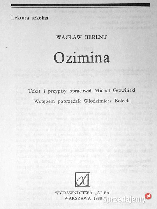 Ozimina Wacław Berent Chełm