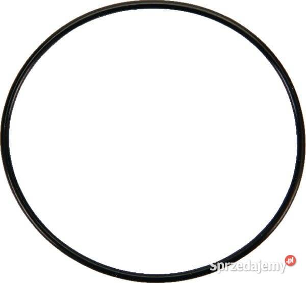 Uszczelka odstojnika pływaka 841651 Kamionna