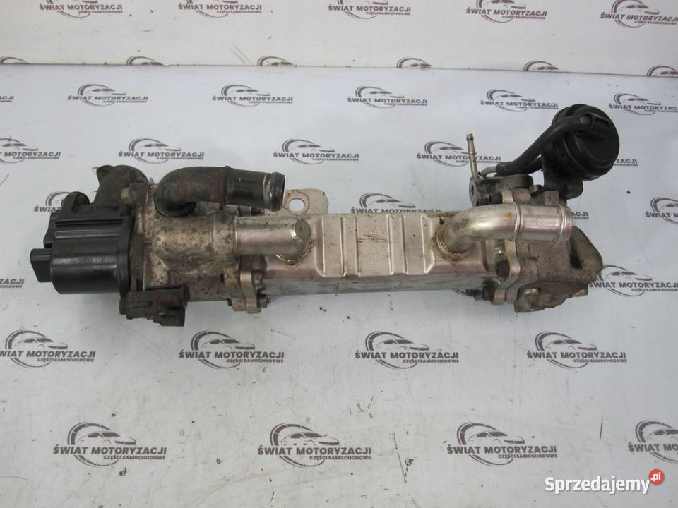 HYUNDAI KIA 17 CRDI 116 chłodniczka spalin EGR Kielce