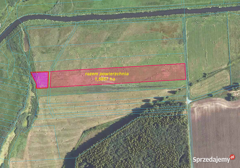 Łąka Horbów Kolonia gm Zalesie pow bialski Horbów-Kolonia
