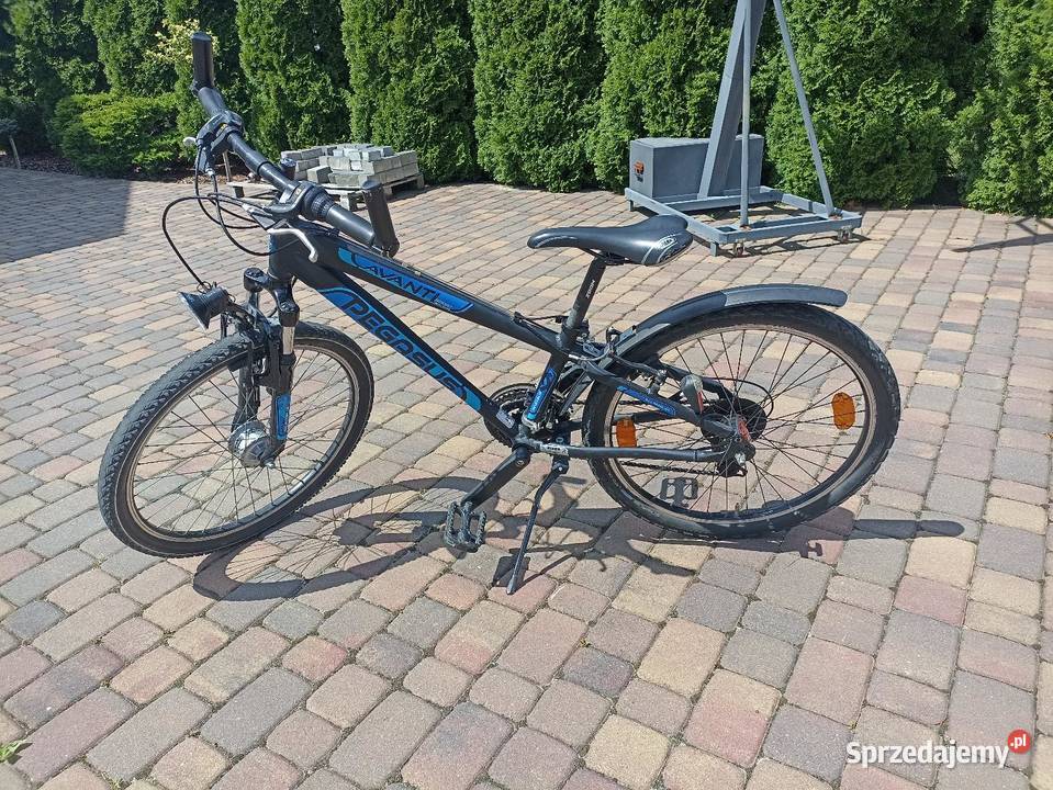 Rower Pegasus avanti sport 24 śląskie Krzepice