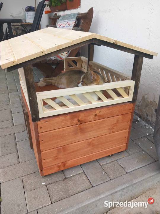 fajn y kojec kota małego pieska Kościelisko