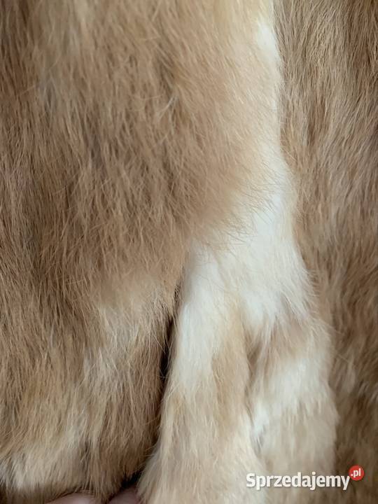 Cudne szczuple futerko naturalne z królika Nakło nad Notecią
