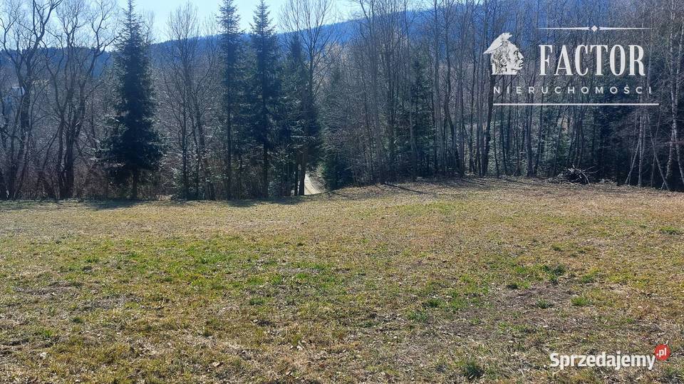 Widokowa działka budowlana 1279 ara Bieśnik gm