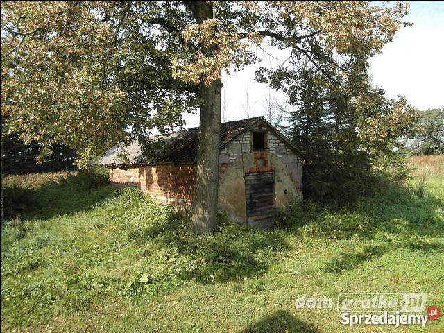 Siedlisko z budynkami SPRZEDAM utwardzona Grunty i działki Niemieryczew